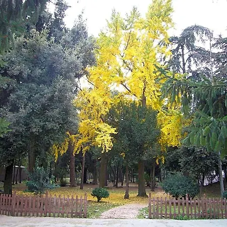 Altieri 3*