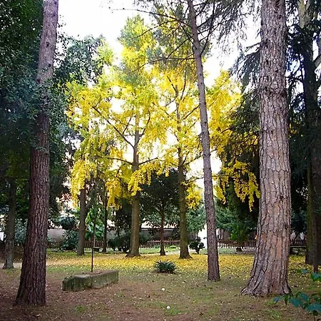 Hotel Altieri