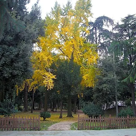 Altieri Albano Laziale