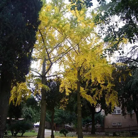Altieri Albano Laziale